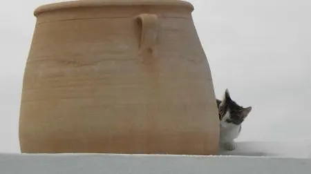 Hotel Manos Small World Firostefani