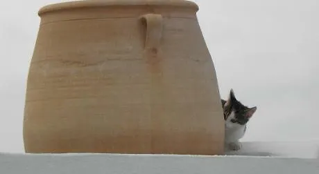 Hotel Manos Small World Firostefani